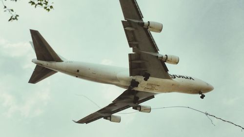 Low angle view of airplane flying in sky