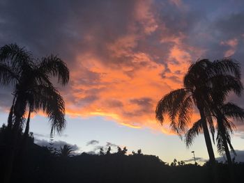 Silhouette palm trees against dramatic sky