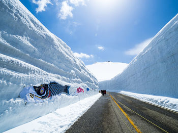 Tateyama kurobe alpine route snow otani walk