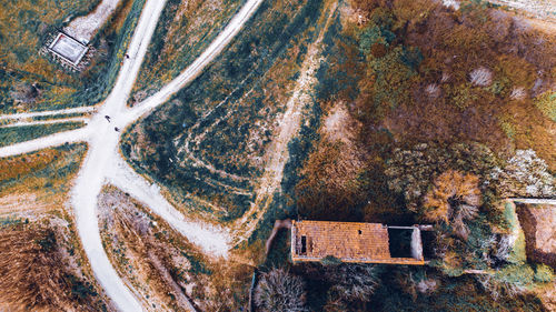 High angle view of road along trees