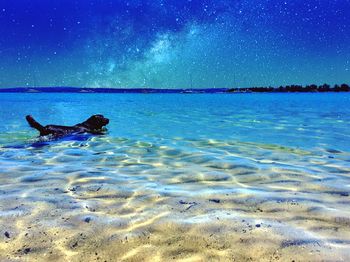 Scenic view of beach against blue sky