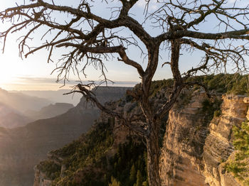 Scenic view of tree mountains against sky