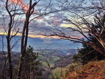 Bare trees on landscape against cloudy sky