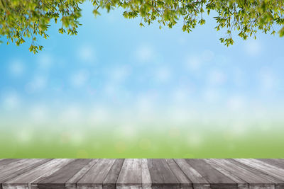 Low angle view of trees against blue sky