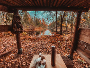 High angle view of man standing in forest