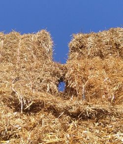 Close-up of hay bales on field against clear blue sky