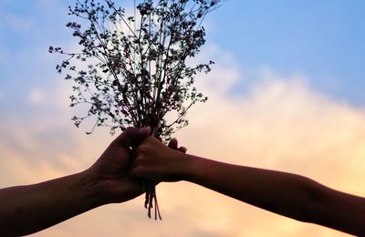 Cropped image of hands holding flower against sky