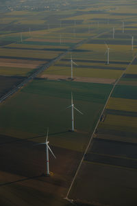 Scenic view of agricultural field