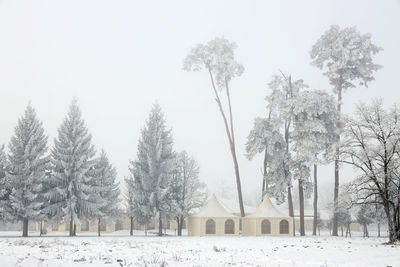 Panoramic shot of trees on snow covered field against sky