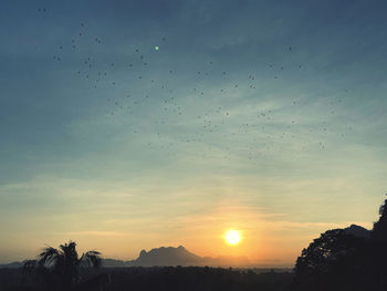 Silhouette birds flying against sky during sunset