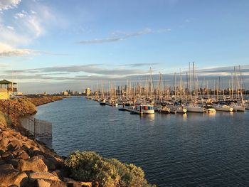 Boats moored at harbor