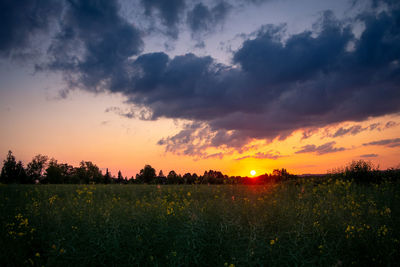 Scenic view of field against sky during sunset