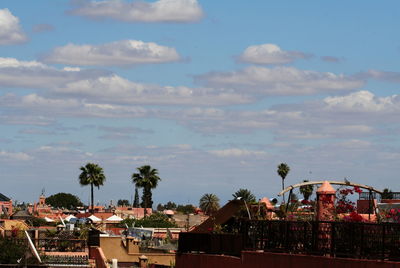 Palm trees against sky