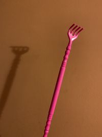 Close-up of pink rose on table against wall