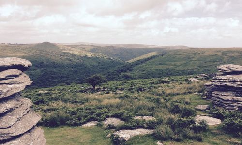 Scenic view of landscape against sky