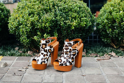 Close-up of shoes on retaining wall