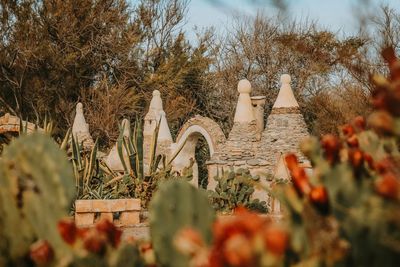 Trees and plants against sky