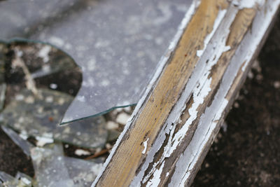 Close-up of wooden plank