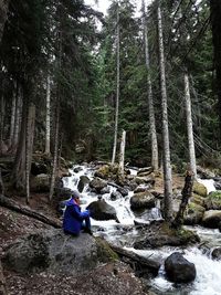 Man and trees on rock in forest during winter