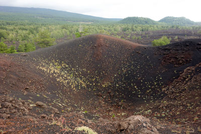 Scenic view of landscape