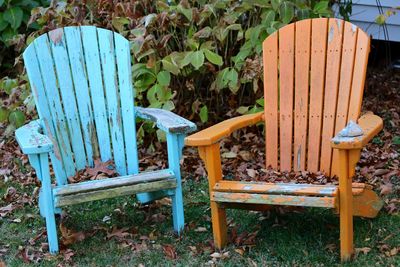 Plants growing in backyard