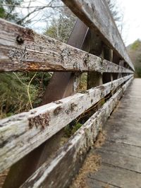 Close-up of old wooden structure in forest