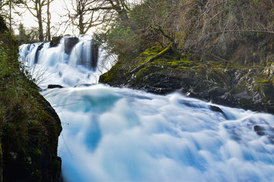 Scenic view of waterfall in forest