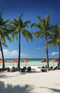 Palm trees at beach against sky