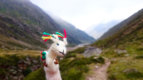 Close-up of horse on field against mountains