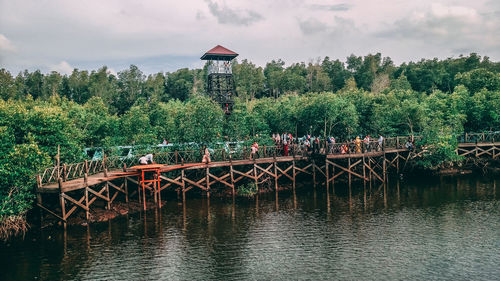 Plants and bridge over river against sky