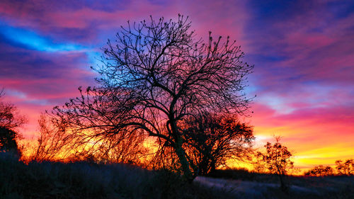 Silhouette bare tree on field against romantic sky at sunset