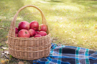 Fruits in basket on field