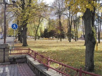 Trees in park