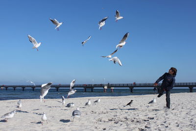 Seagulls flying over teenage boy at beach against sky