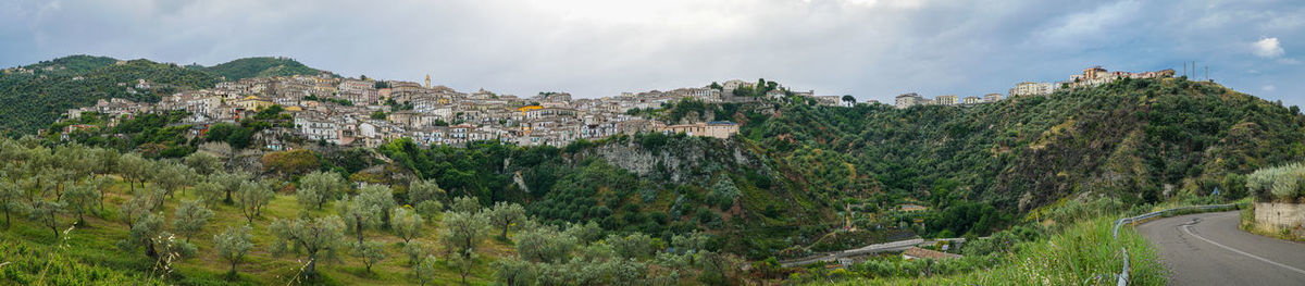 Panoramic view of trees and road against sky