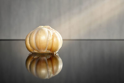 Close-up of bread on table