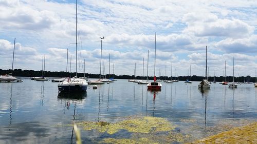 Scenic view of sailboats in water against cloudy sky