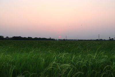 Scenic view of field against sky during sunset