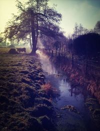 Scenic view of landscape