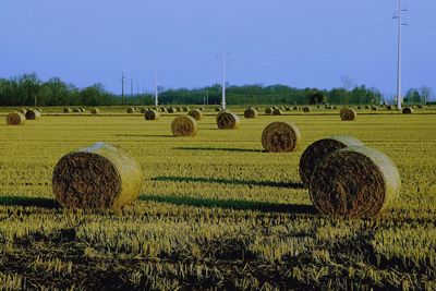 Hay bales on field against clear sky