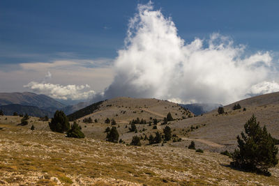 Panoramic view of high landscape with prominent white clouds against sky