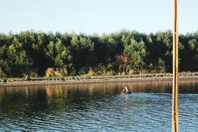 Reflection of trees in calm lake