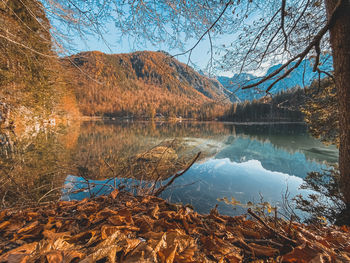 Reflection of trees on lake during autumn