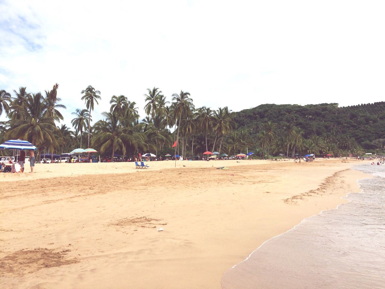 sand, beach, tree, outdoors, vacations, nature, summer, relaxation, day, palm tree, sky, sea, no people, beauty in nature