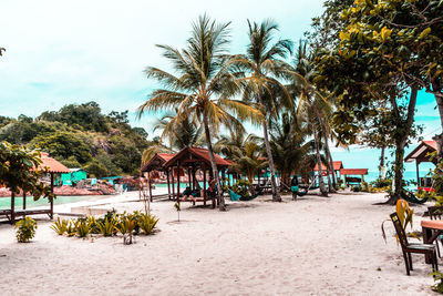 Palm trees on beach against sky