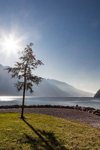 Scenic view of landscape against bright sun