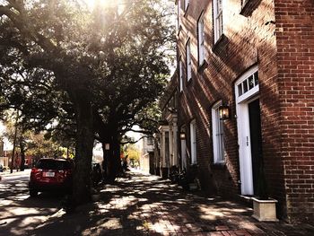 Road amidst trees in city