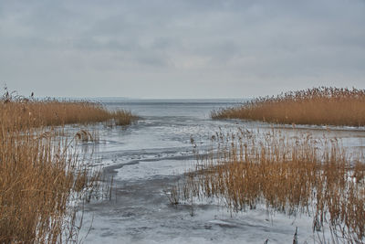 Scenic view of sea against sky during winter