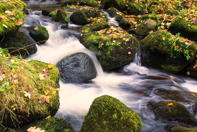 High angle view of waterfall in forest