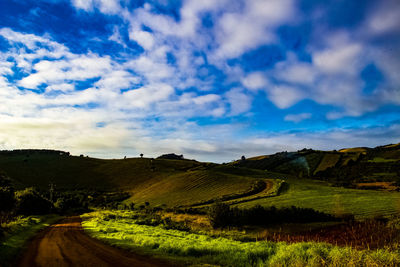 Scenic view of grassy landscape against cloudy sky